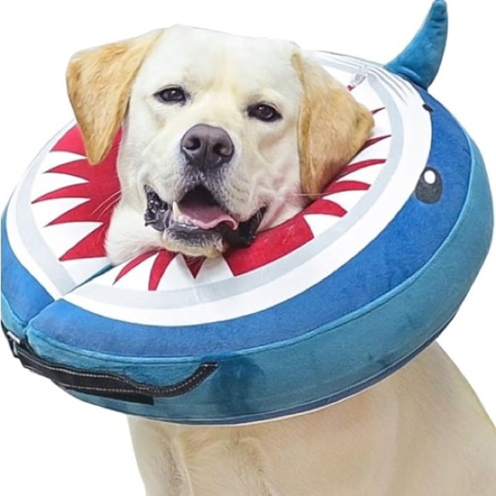 Shark Design Protective Collar - Blue and Red